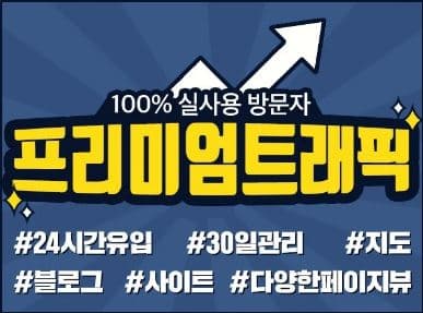 국내통신사 프리미엄 트래픽
